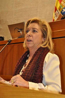Dolores Serrat, En El Pleno De Hoy