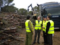 M.Junta impulsa un proyecto en los Montes de Málaga para financiar con sus ingresos tareas forestales