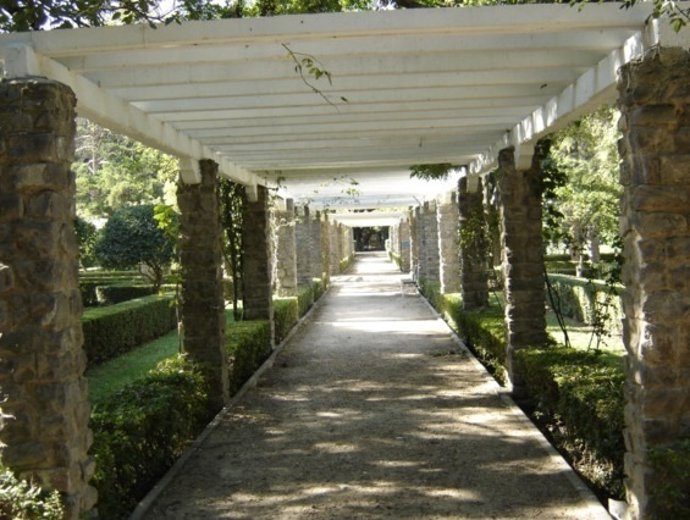 Pérgola Con Rosales Orignal En Parque Grande