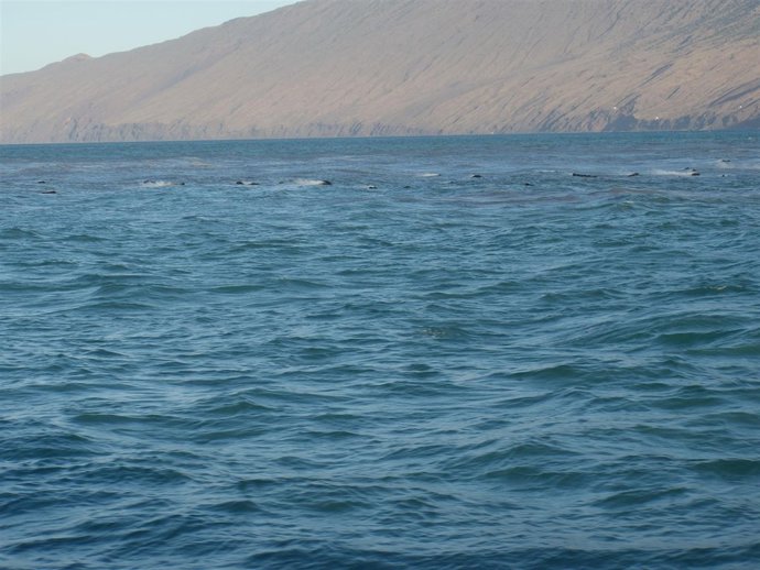 Piroclastos En La Costa De La Restinga       