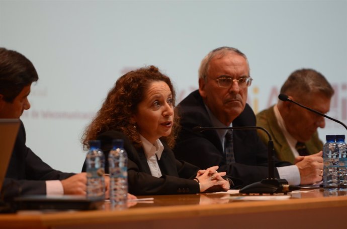 La Directora General De Nuevas Tecnologías Del Gobierno De Aragón, María Ángeles