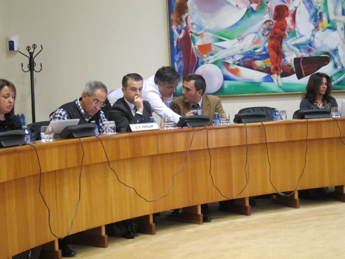 Comisión presupuestos