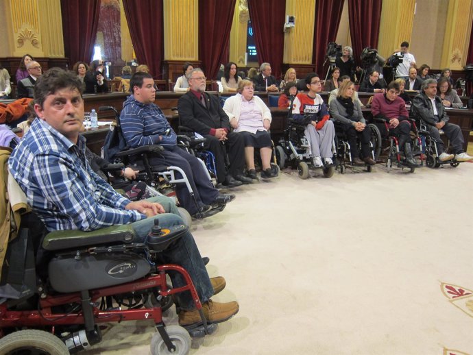 Personas Con Discapacidad En El Parlament