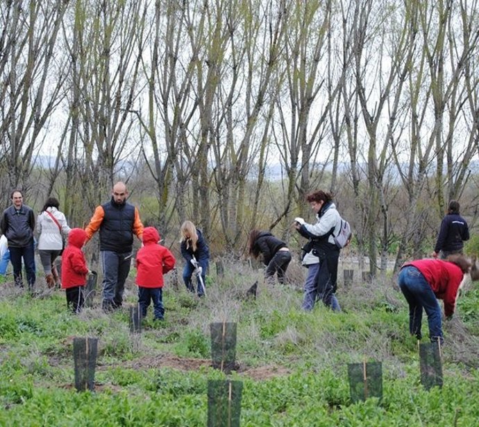 Carrefour Y SEO/Birdlife Repoblación Árboles