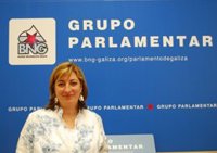 El BNG critica la instalación de una planta de residuos en O Irixo, una "oportunidad perdida" para el compostaje