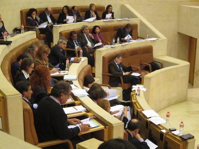 Pleno Del Parlamento