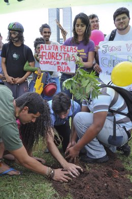 Manifestantes Plantan Árboles Para Protestar Por La Reforma Del Código Forestal.