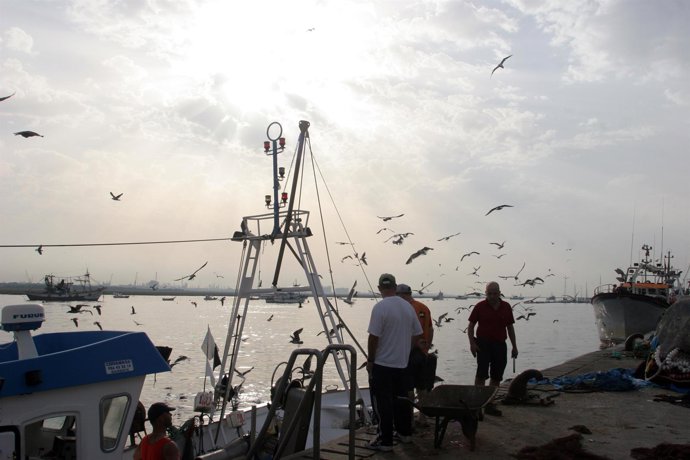 Barcos pesqueros en Huelva