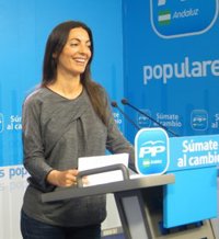PP-A critica la "falta de gestión" del Gobierno andaluz para que Boliden pague los gastos del vertido de Aznalcóllar