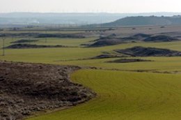 Paisaje De Campos De Cultivo.