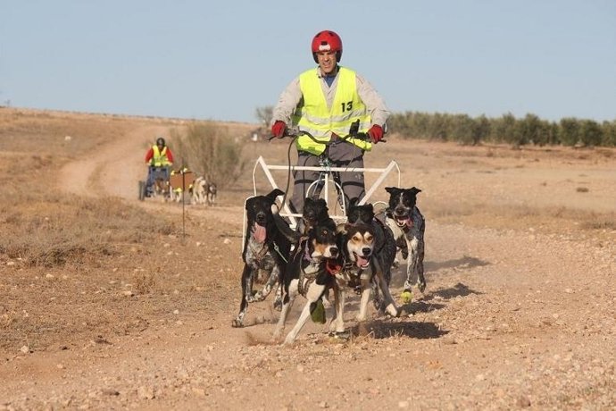 Mushing En Los Monegros