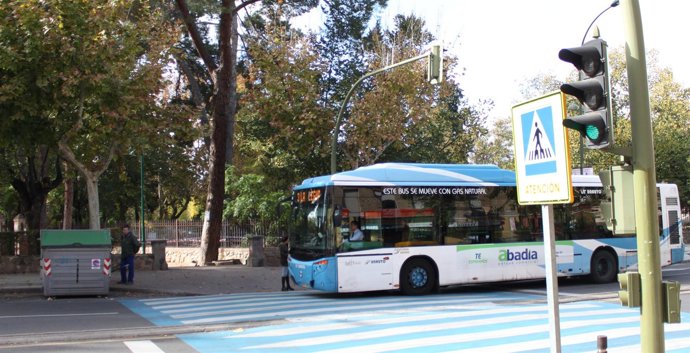 PASO DE PEATONES CON  AUTOBUS URBANO