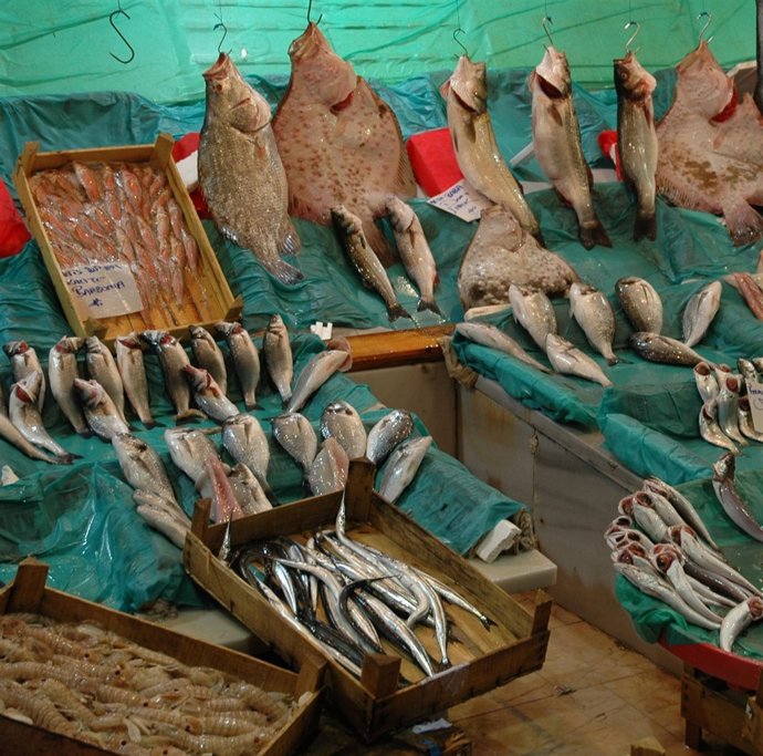 Pescado fresco.