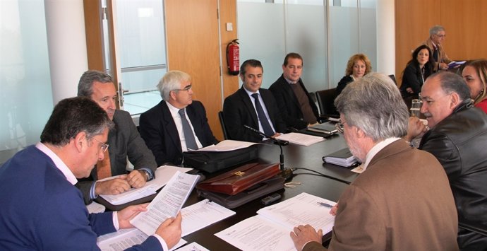 Pleno Del Patronato Provincial De Recaudación De Málaga Diputación