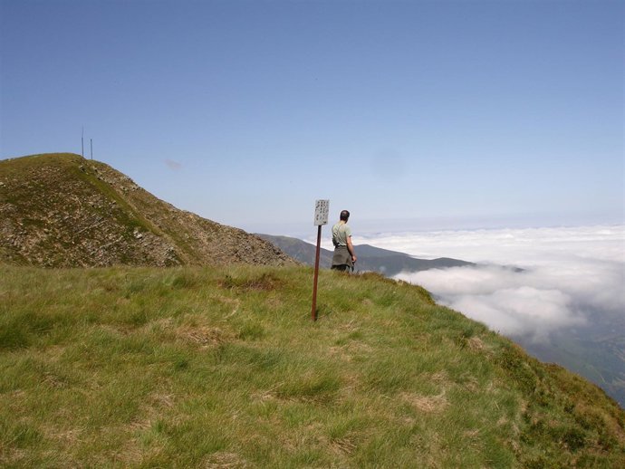 Vigilancia Contra Cazadores Furtivos En Asturias