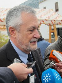 Griñán cree que la UE "bordea la crisis de legitimidad democrática" y pide "compatibilizar" ajuste e impulso económico