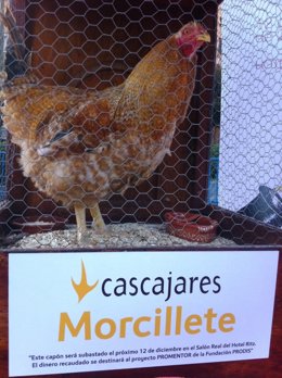 Uno De Los Capones De Cascajares Que Se Subastará El Lunes