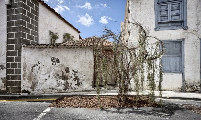 El Olivo, Efraín Pintos