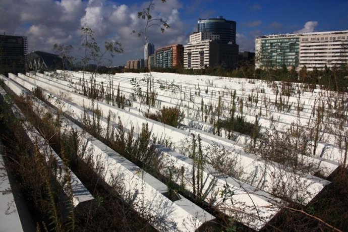 Material Del Ágora Que EUPV Denuncia Que Está En Una Zona Sin Vigilancia.
