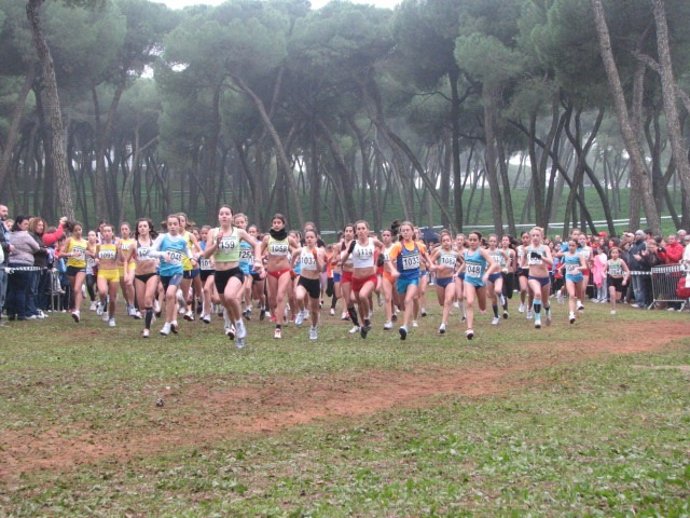 Corredores De Alcalá