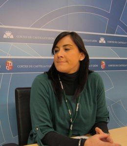 La Procuradora Socialista Ana Sánchez En Una Rueda De Prensa