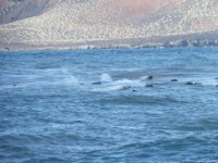 El Hierro registra este domingo un solo sismo