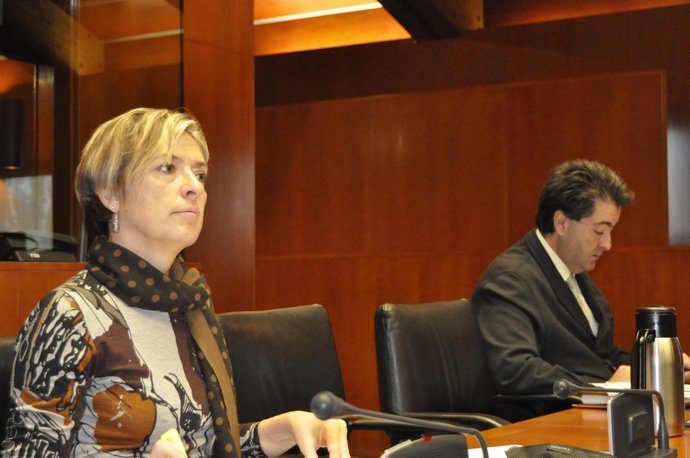 Nieves Ibeas, En La Comisión Institucional De Las Cortes