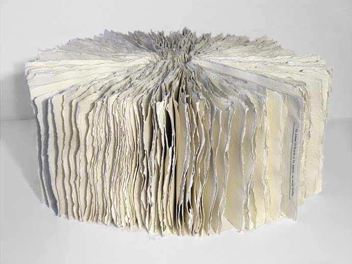 Exposición De Papel    