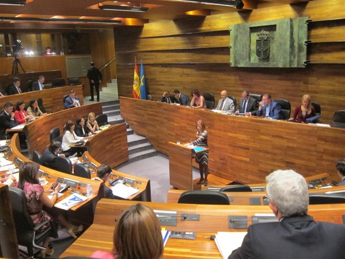 Pleno De La Junta General