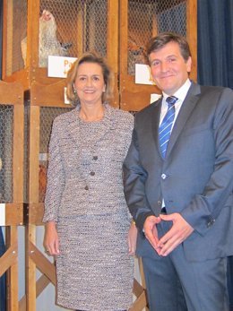 Vídeo de la noticia