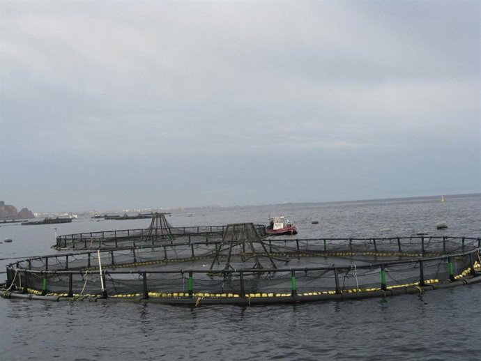 Piscifactoría Piagua 