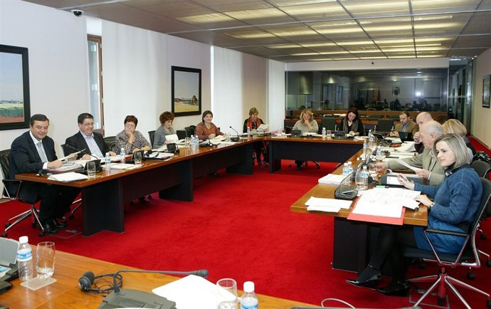 Comisión De Economía Y Hacienda Del Parlamento De Navarra.