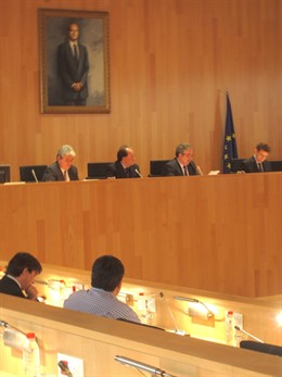 Imagen De Un Pleno Ordinario