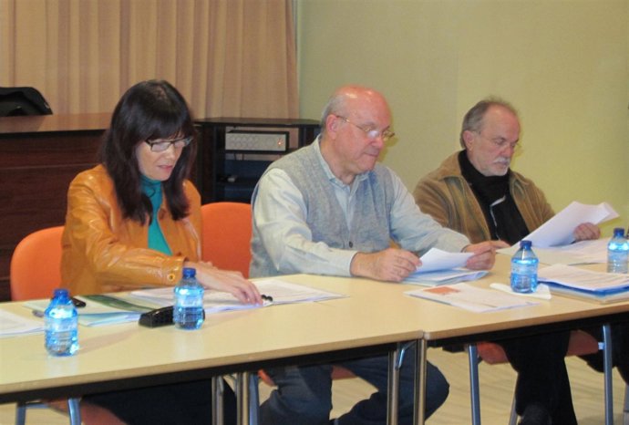 La Consejera Micaela Navarro Preside El Consejo Andaluz De Mayores