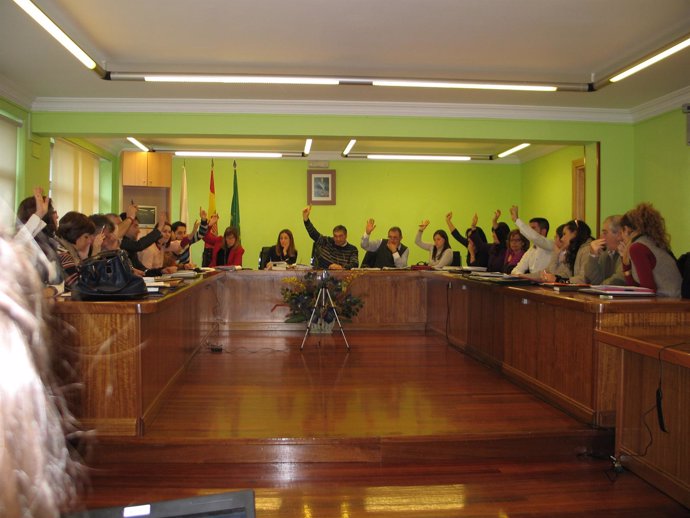 Pleno Municipal De Piélagos