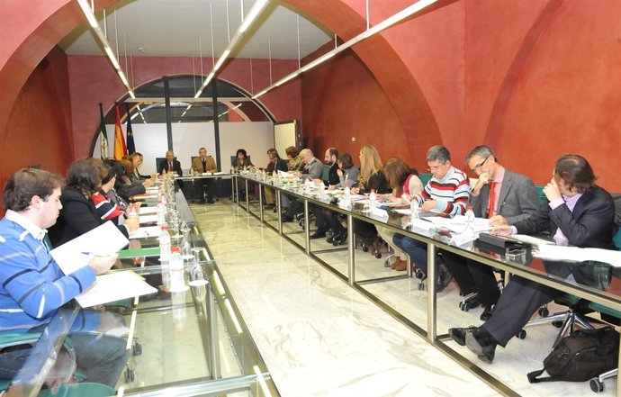 Pleno Del Consejo Andaluz De Enseñanzas Artísticas