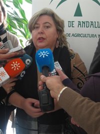 La Junta no trabajará en otra hipótesis que no sea "mantener o renovar" el acuerdo de pesca entre UE y Marruecos 
