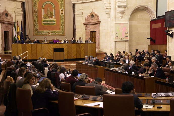 Pleno Del Parlamento Andaluz