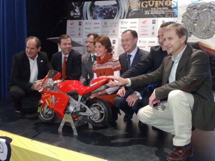 Acto De Presentación De Pingüinos