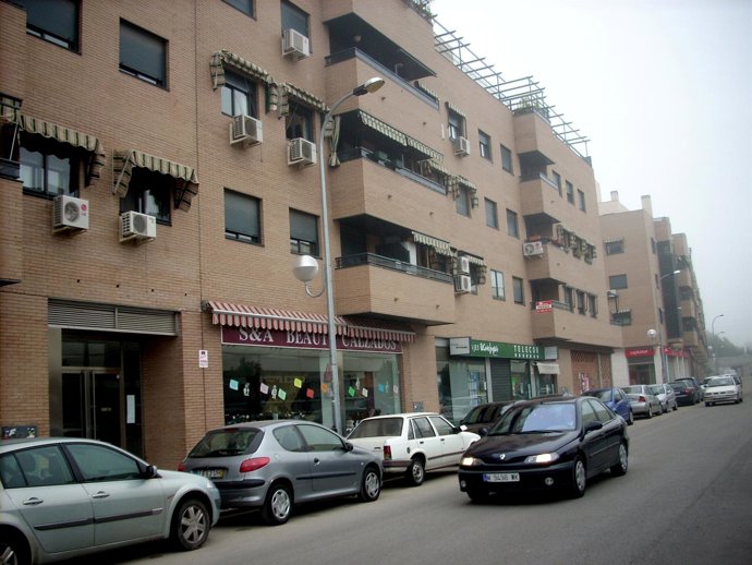 Pequeño Comercio De Pinto