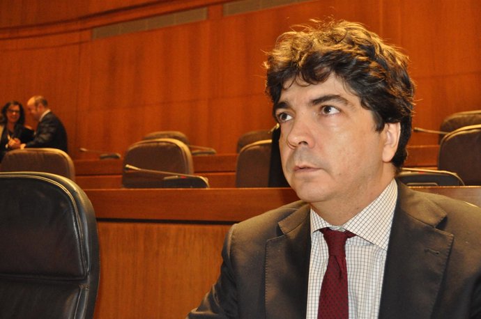 Mario Garcés, En El Pleno De Hoy