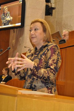 Luisa Fernanda Rudi, En El Pleno De Este Jueves