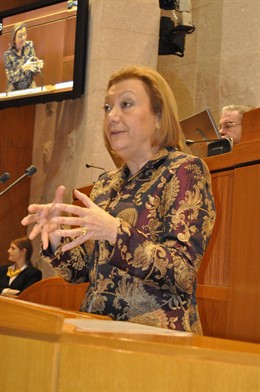 Luisa Fernanda Rudi, En El Pleno De Este Jueves