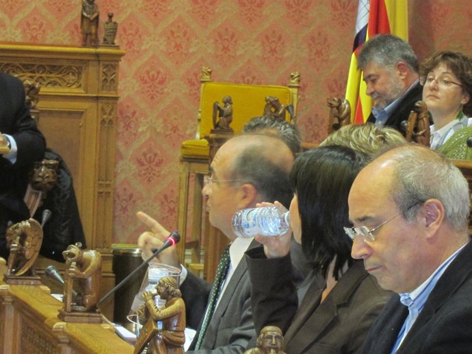 Alemani En El Pleno Del Consell