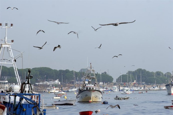 Barcos pesqueros en Huelva