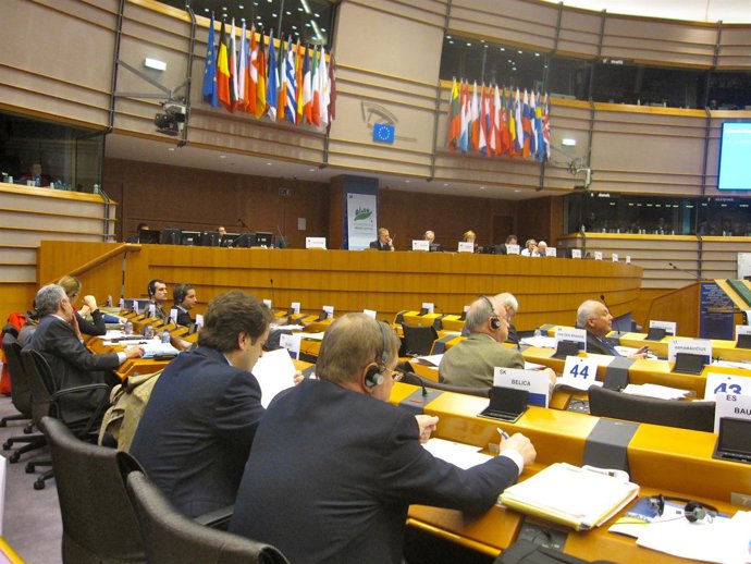 Roberto Bermúdez De Castro En El Comité En Bruselas