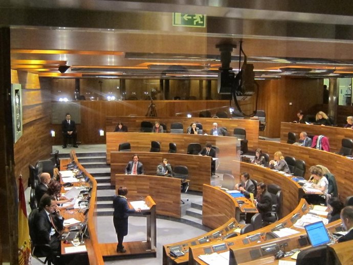 Pleno Junta General Del Principado 