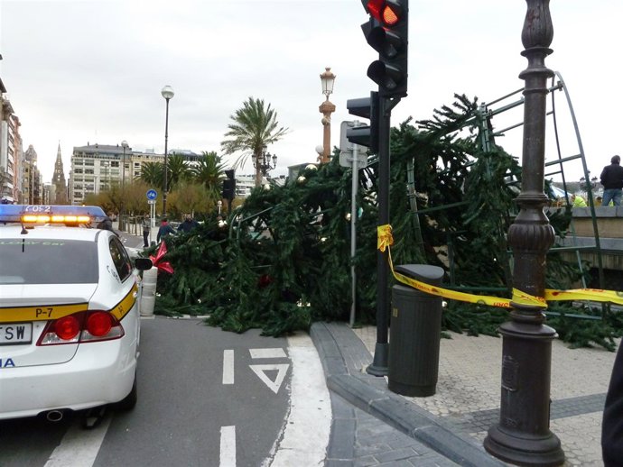 Pino De Navidad Que Ha Tirado El Viento.