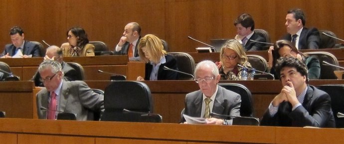 Las Cortes Han Celebrado Sesión Plenaria