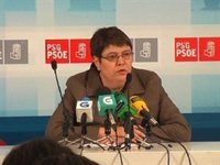 El PSdeG afirma que los acuerdos sobre TACs y cuotas "corrigen" el "brutal recorte" de especies del año pasado